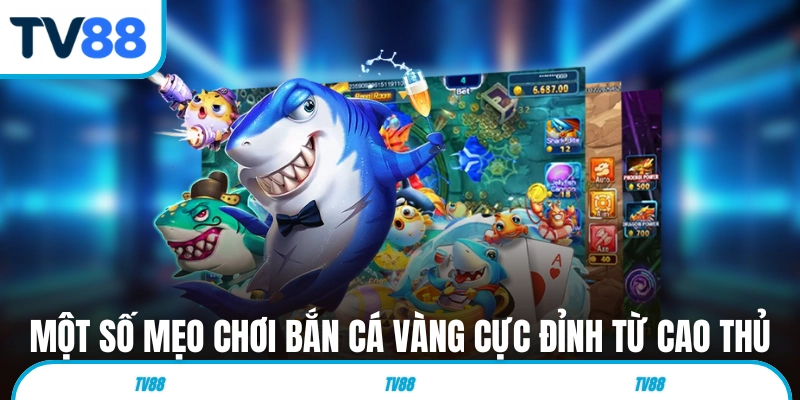 Một số mẹo chơi Bắn Cá Vàng cực đỉnh từ cao thủ