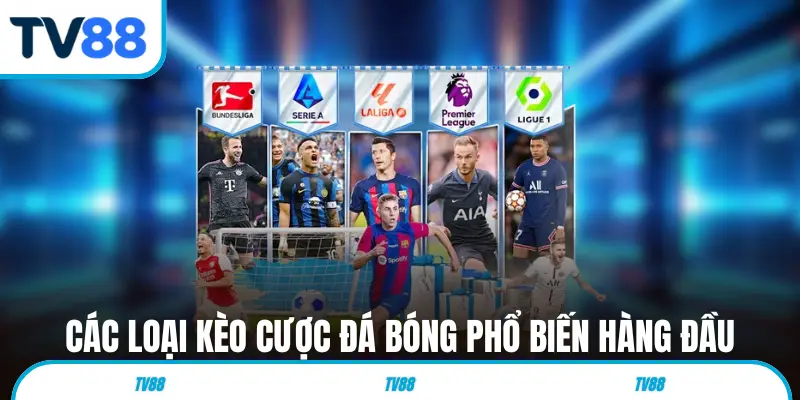 Các loại kèo cược đá bóng phổ biến hàng đầu