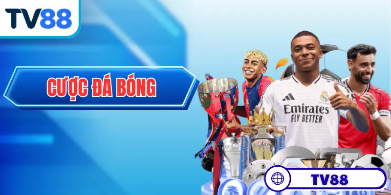 Cược Đá Bóng - Những Kiến Thức Cốt Lõi Cần Nắm Chắc