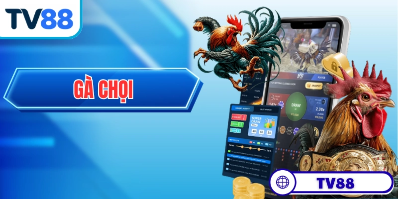 Gà Chọi - Khám Phá Những Điều Thú Vị Về Các Chiến Kê