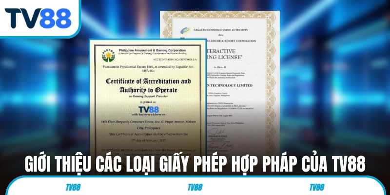 Giới thiệu các loại giấy phép hợp pháp của TV88 