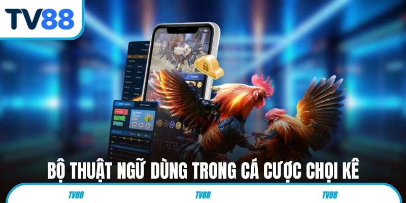 Bộ thuật ngữ dùng trong cá cược chọi kê
